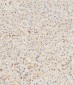 HPX Antibody (Center)